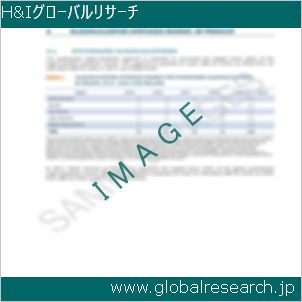 グローバルリサーチ調査レポートのイメージ